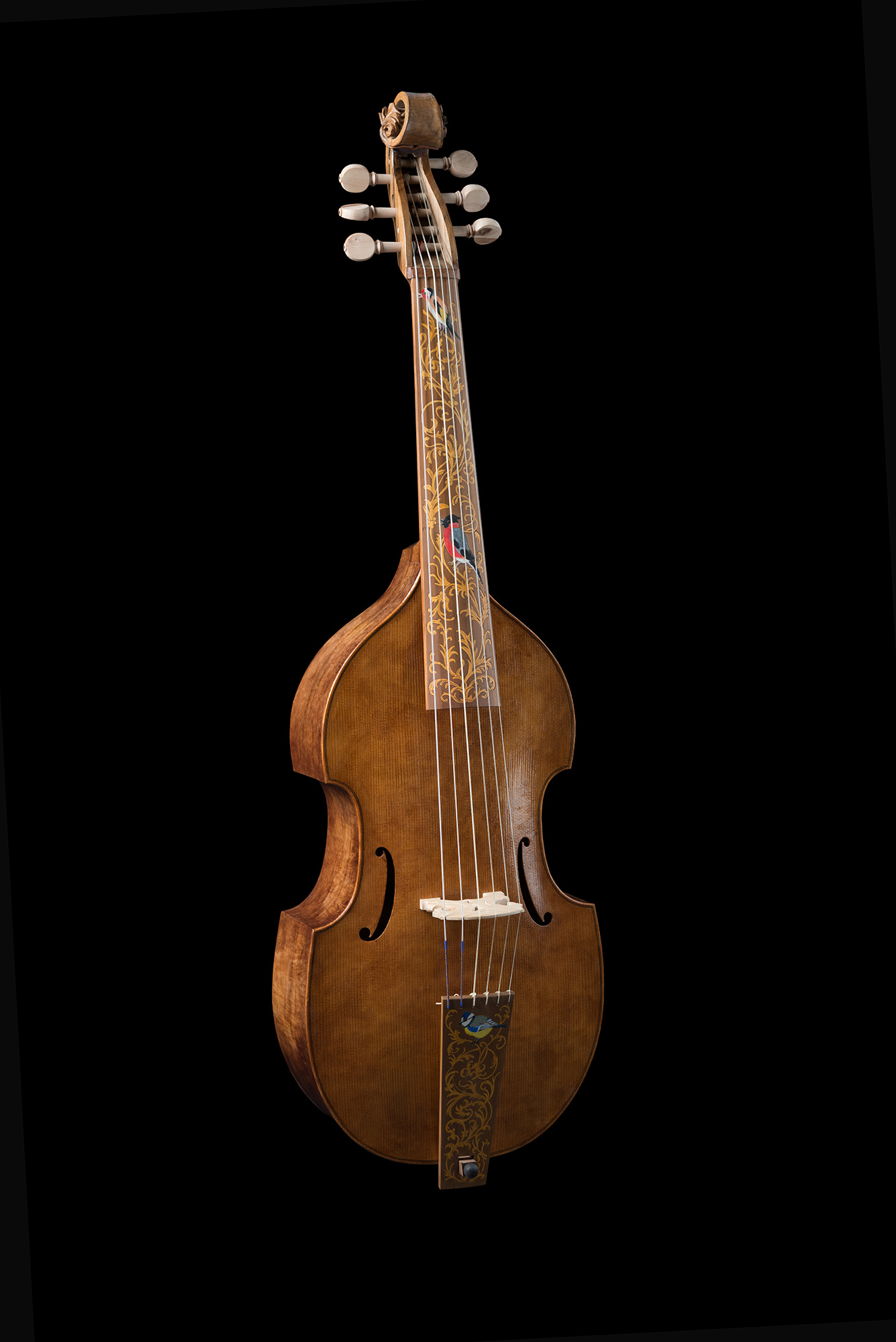Bassgambe